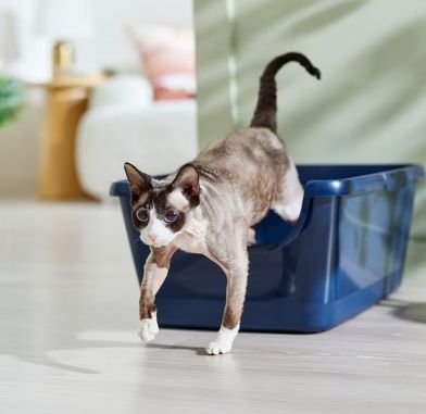 Source Easy Clean Cat No Smell Anti-Splashing Litter Box Private Space Top  Entry Foldable Covered Kitty Litter Pan on m.