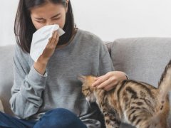 Woman is sneezing from fur allergy