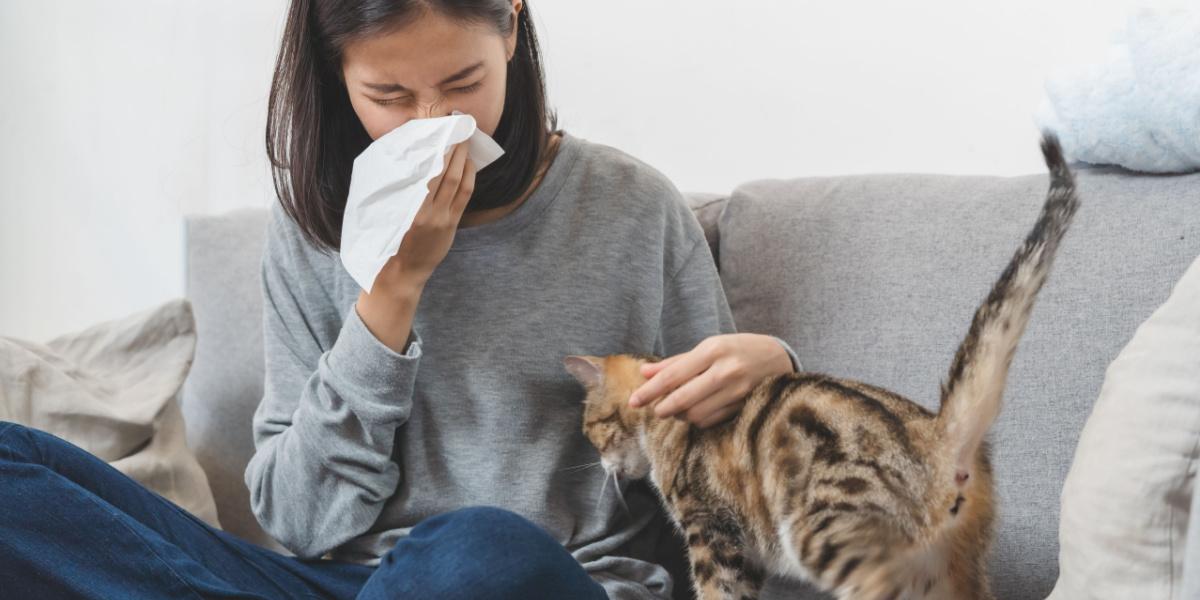  Woman is sneezing from fur allergy