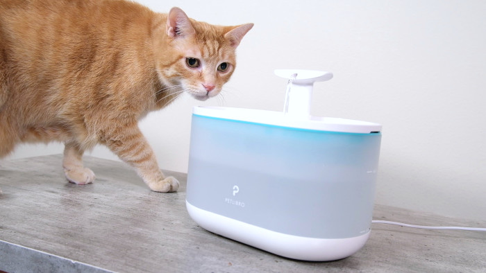 Wessie inspects the Petlibro Capsule fountain