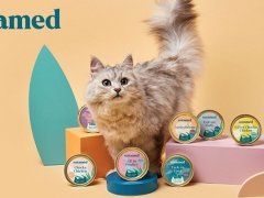 untamed cat products