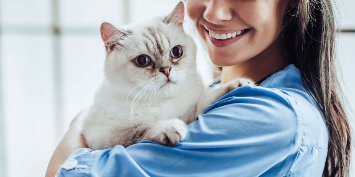 Veterinarian gently holding a calm and content cat.