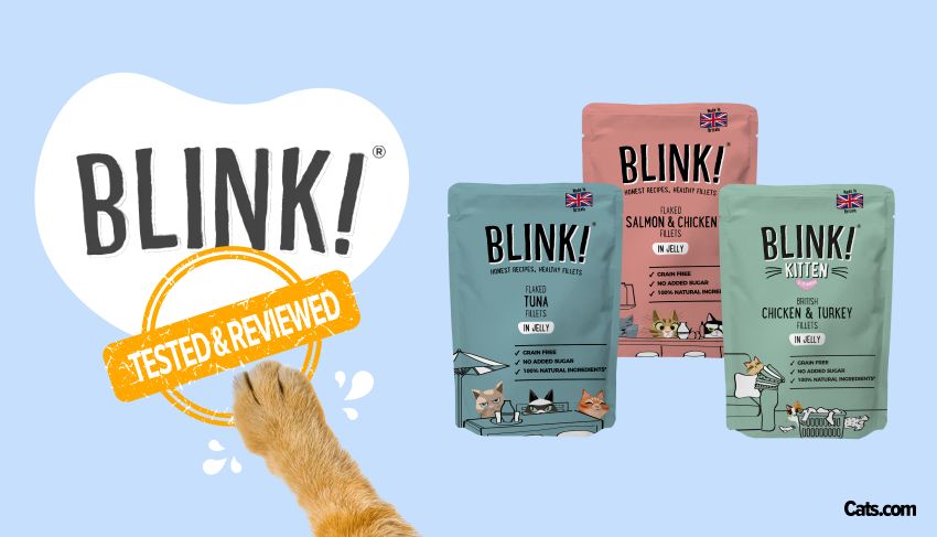 Blink! Cat Food Brand Review