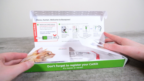 Basepaws Cat DNA Test Review (We Tried It) - Cats.com