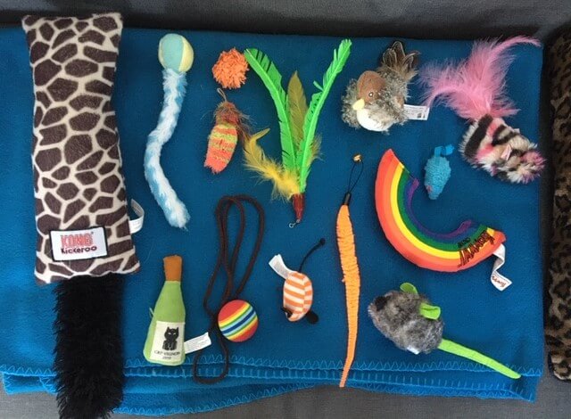 Melina's Partial Cat Toy Collection