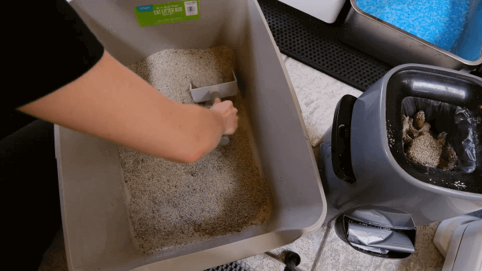 scooping the litter box