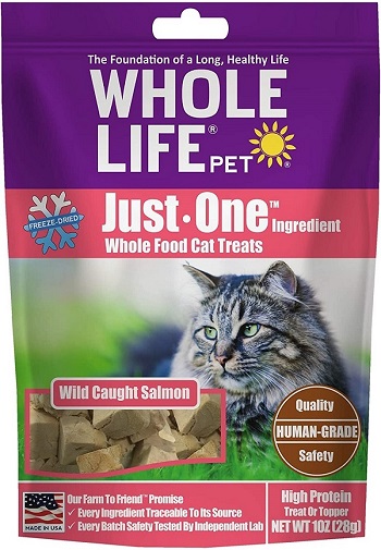 Whole Life Just One Ingredient Pure Salmon Fillet Freeze-Dried Cat Treats