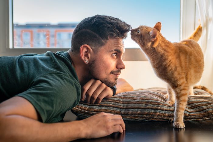 cat sniffing man's hair