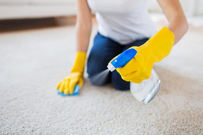cleaning mess from carpet with a spray bottle