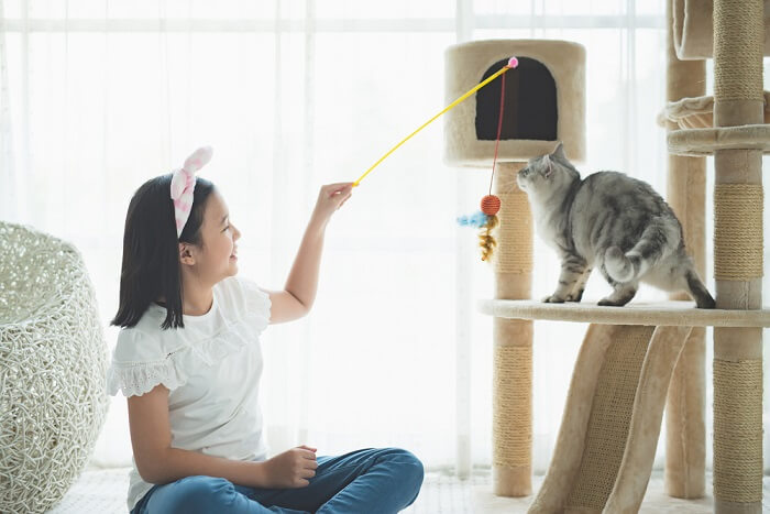 girl playing with a cat