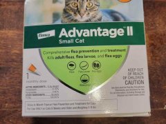 Advantage-II-Flea-Spot-Treatment-for-Cats