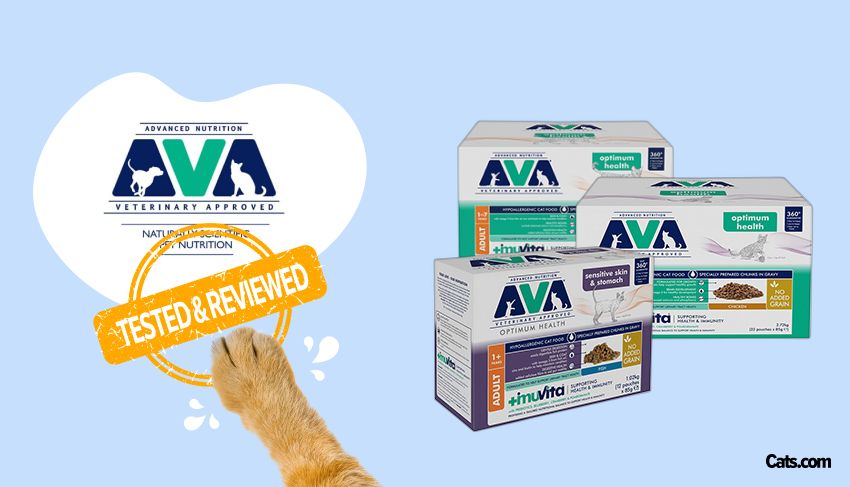 Ava Cat Food Brand Review