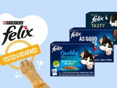 Brand-Review-Felix