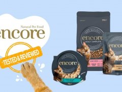 Brand-Review-encore-cat-products