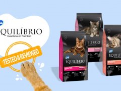 Brand-Review-equilibrio-cat-products