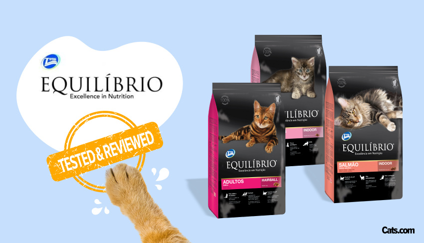 Brand Review - equilibrio