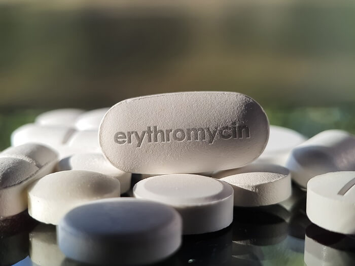 Erythromycin for Cats Overview Dosage Side Effects Cats