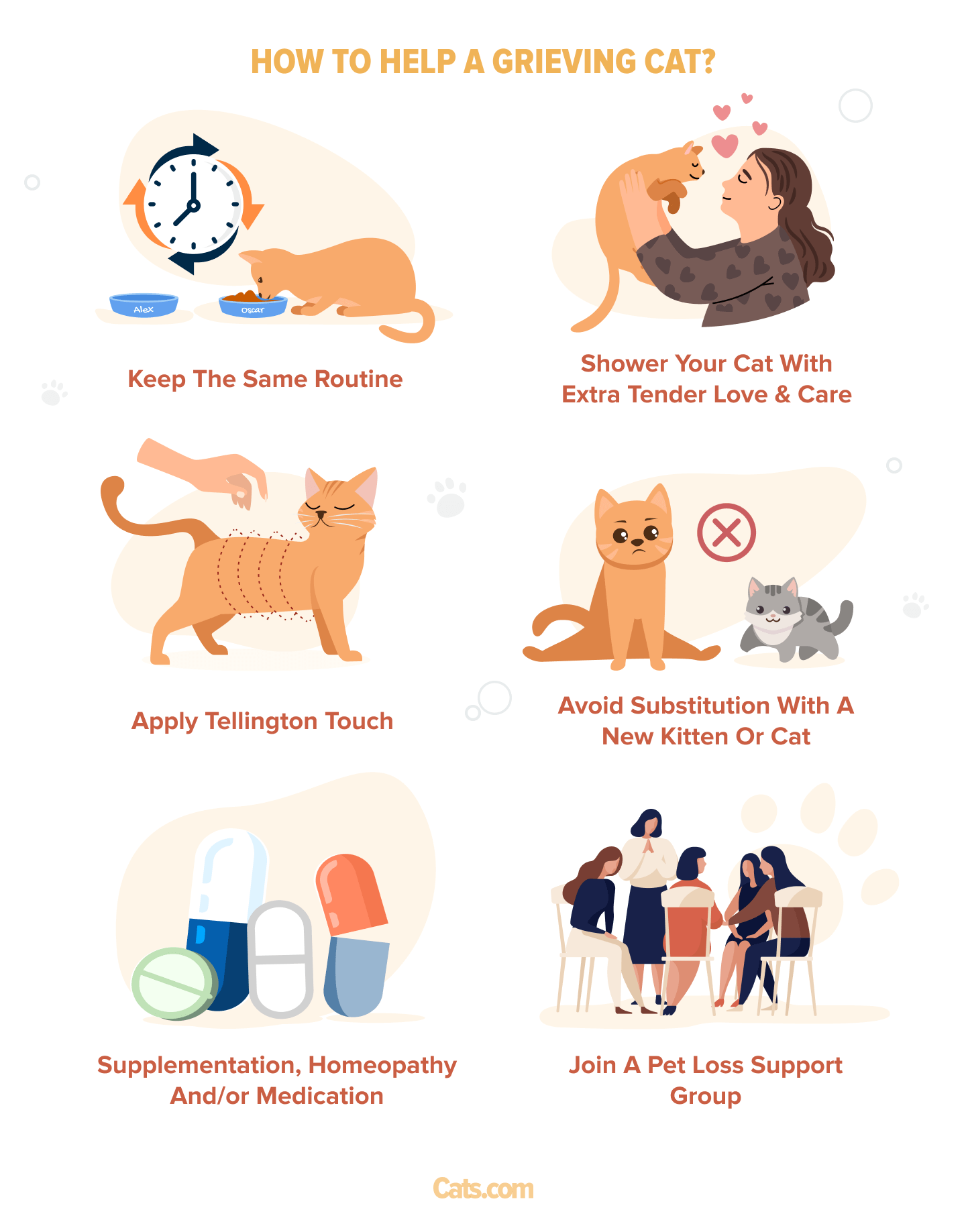 Image addressing ways to help cats deal with grief.