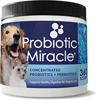 Nusentia Probiotic Miracle for Dogs and Cats