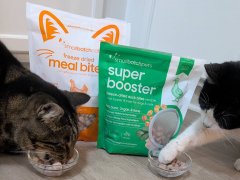 Smallbatch Pets Cat Food products