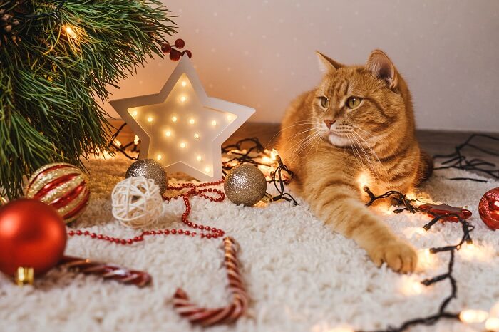 A mischievous cat causing chaos near a Christmas tree.