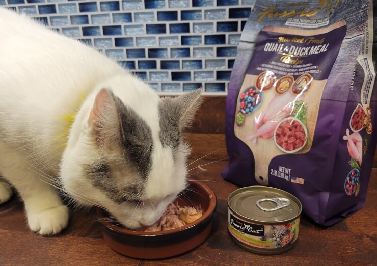 Cat is enjoying Fussie Cat food