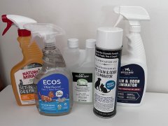 Best Carpet Cleaners for Cat Urine
