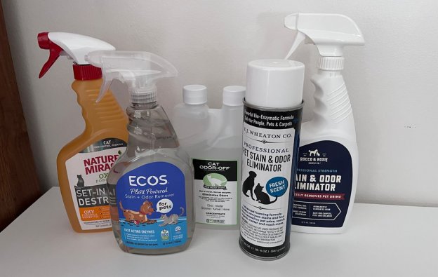 How to Get Cat Urine Smell Out of Toys: Easy & Effective Tips