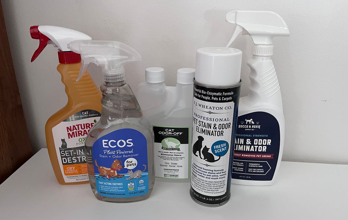 Best Carpet Cleaners for Cat Urine