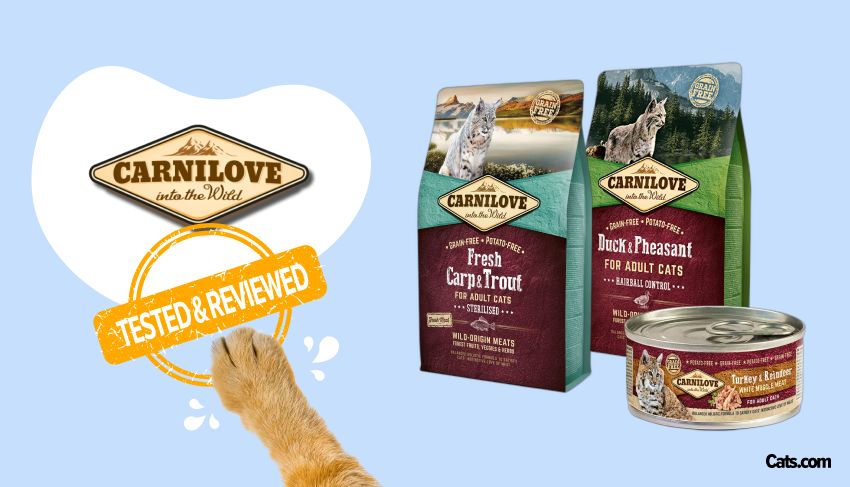 Carnilove Cat Food Brand Review
