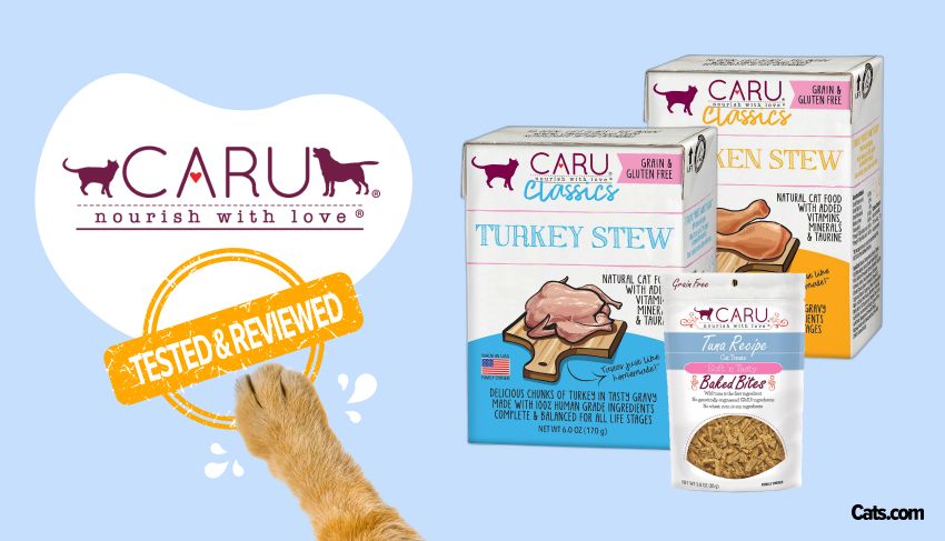 Caru Cat Food Brand Review