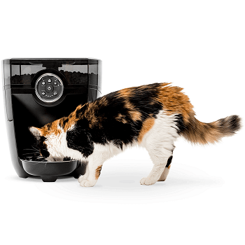 Feeder-Robot by Whisker Automatic Pet Feeder