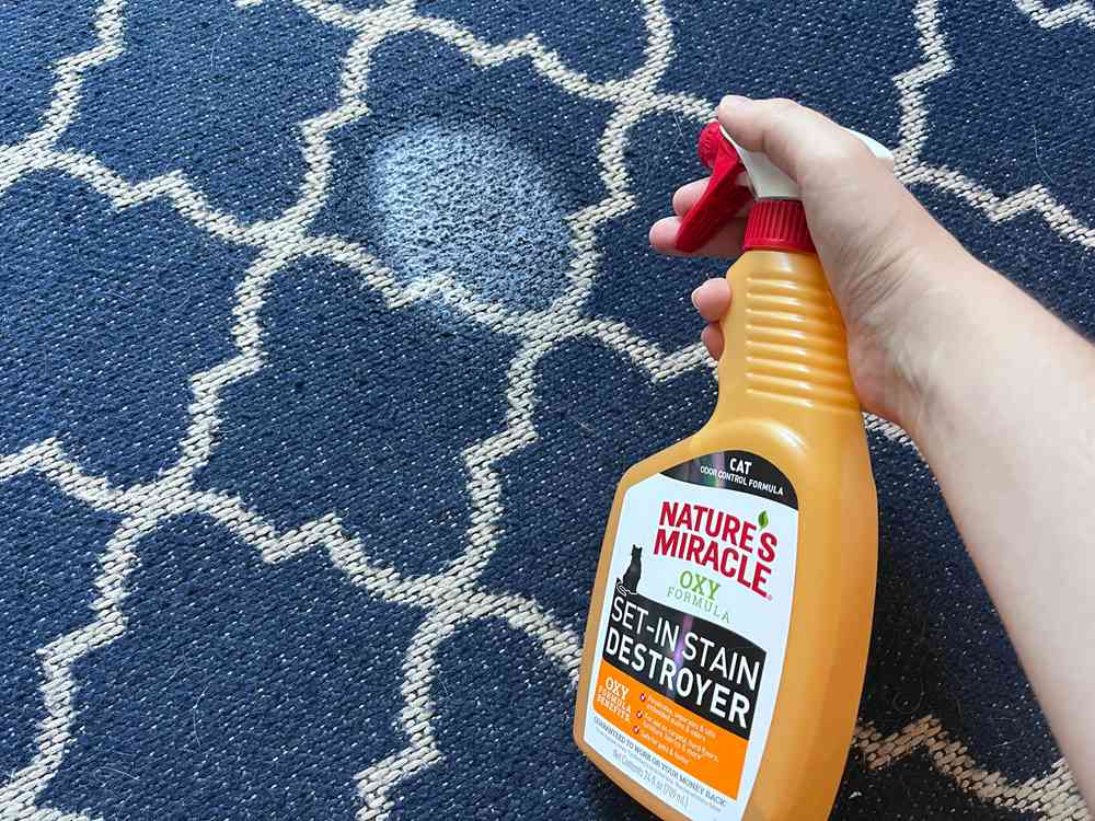 Nature's Miracle Oxy Formula Set-In Cat Stain Destroyer