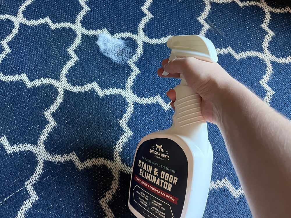 Rocco & Roxie Supply Co. Professional Strength Pet Stain & Odor Eliminator