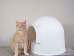 pidan cat litter