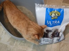 Dr. Elsey's Ultra Unscented Cat Litter