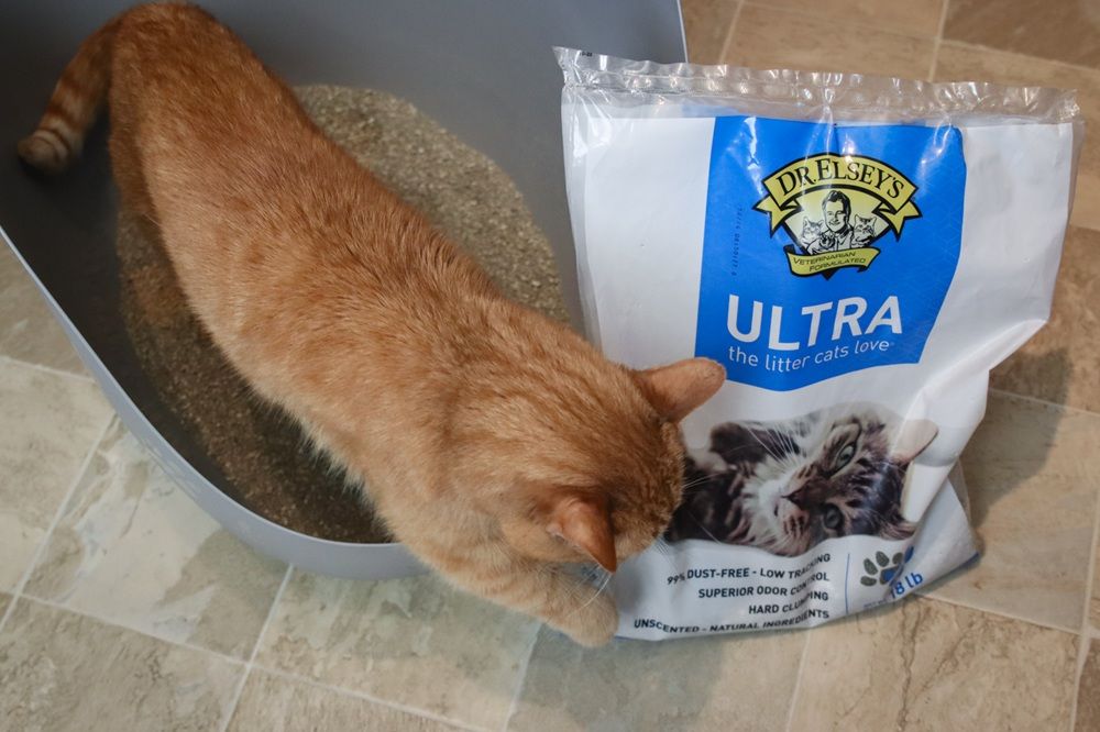 Dr. Elsey's Ultra Unscented Cat Litter