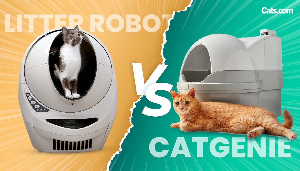 Litter-Robot vs CatGenie featured image