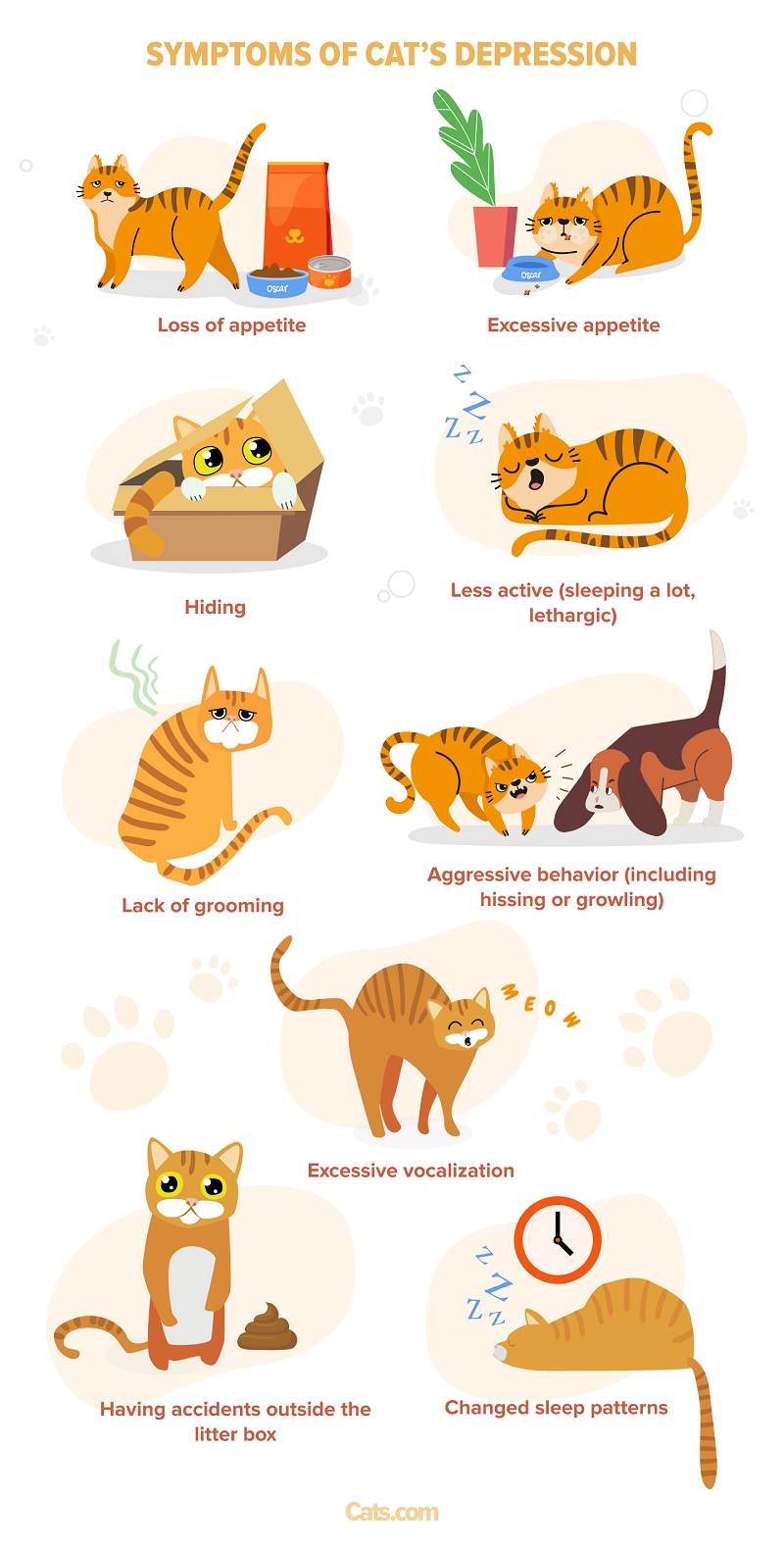 Is My Cat Depressed? Signs, Symptoms & How to Help (Signs, Symptoms & How  to Help) 