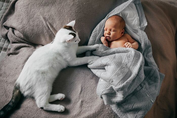 A charming image of a baby and a cat together, showcasing a sweet and endearing interaction between the two.