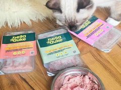 cat-eating-Bella-Duke-products