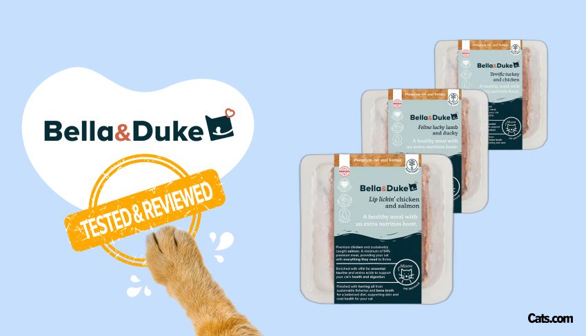 Bella and Duke Cat Food Brand Review