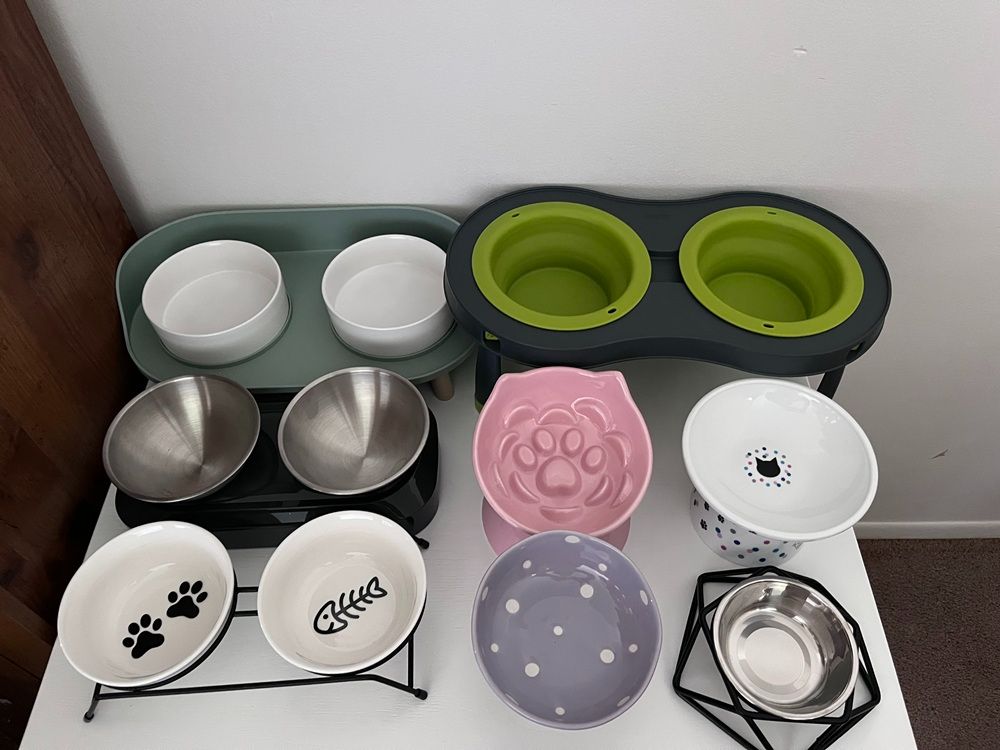 Best Elevated Cat Bowls