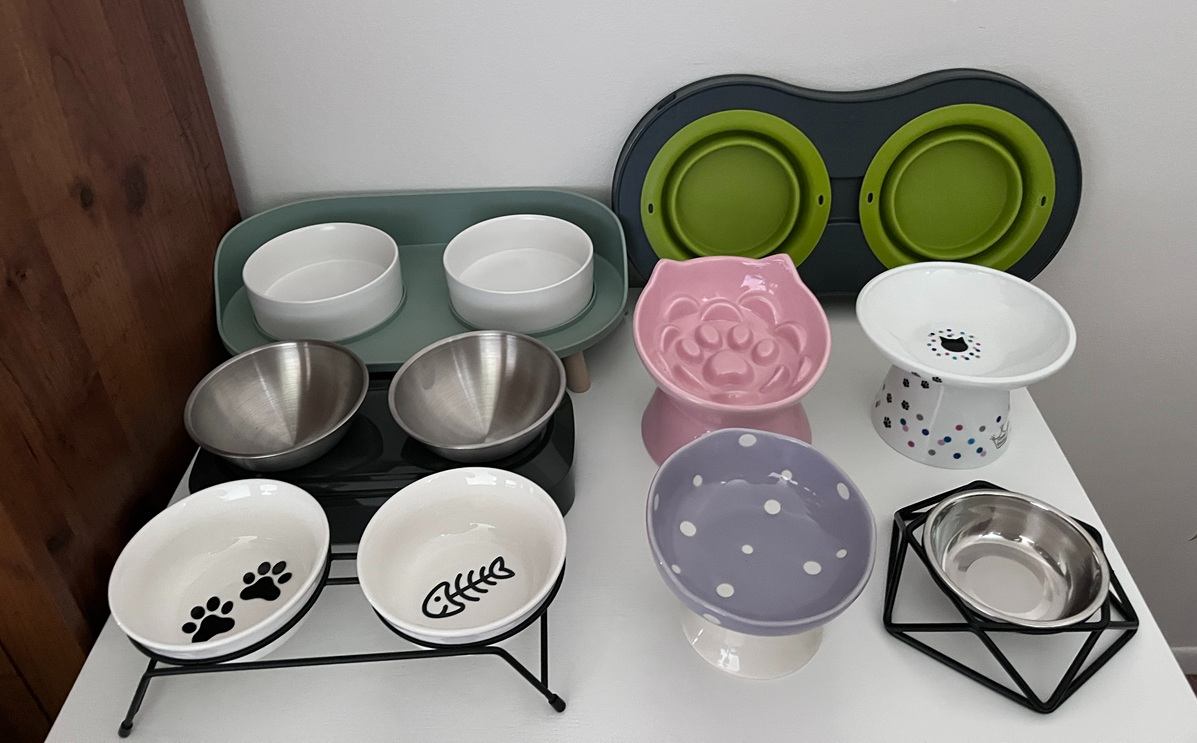 Best Elevated Cat Bowls