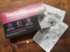 Capstar for Cats