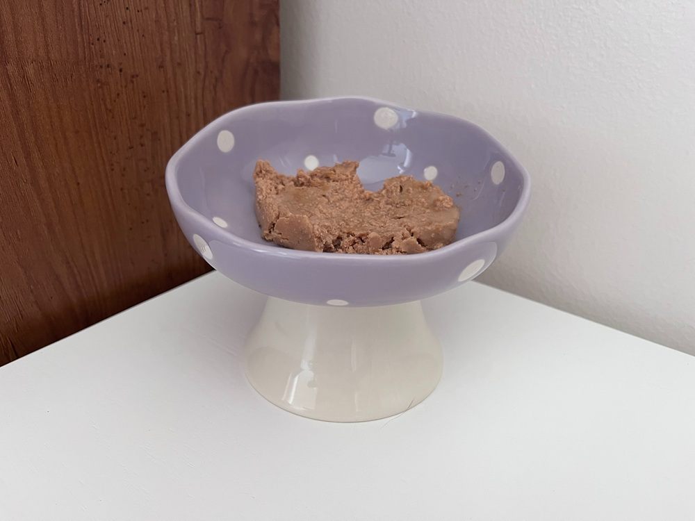 Ceramic Mushroom Whisker-Friendly Cat Bowl