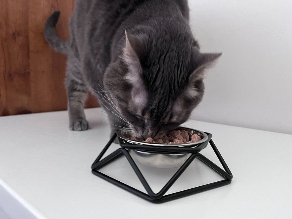 Frisco Elevated Stainless Steel Dog & Cat Bowl
