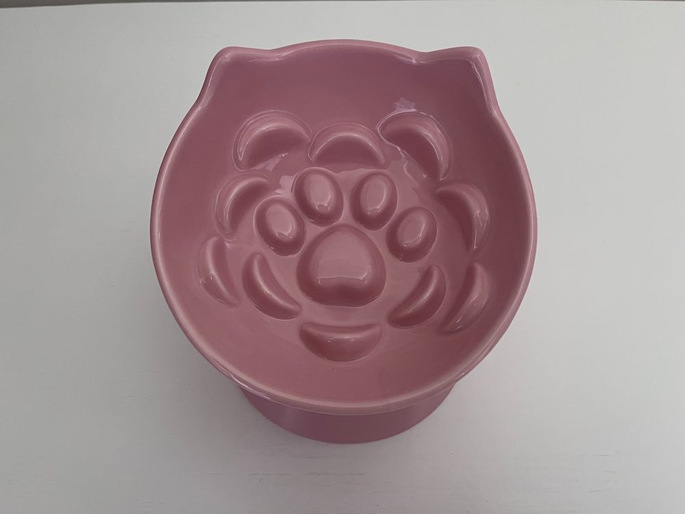 PawsPik Lynx Ceramic Raised Slow Dog & Cat Food Bowl
