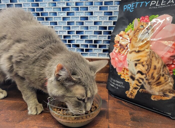 Pretty litter shop cat food