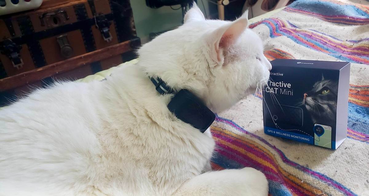 Tractive GPS Cat Tracker